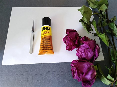 ������-����� &laquo;���������� �� ���������&raquo; ��� �����  